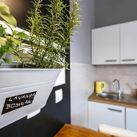 My Dalmatia - Neno Apartament *